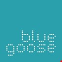blue goose Logo
