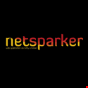 Netsparker Logo