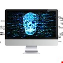 Volumetric Attacks and the IoT Dominate DDoS Scene