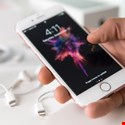 Hundreds of Fake iPhone Accounts Spread Social Scams