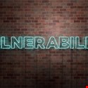 Analysis of the Global Public Vulnerability Research Market