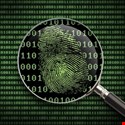 How Can Data Forensics Help The Fight Against Malware?