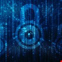 89% of Orgs Rely on Basic Security Alone