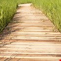 We Need to Define Career Pathways and How to Step Up Your Career