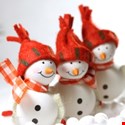 On the 11th Day of Christmas, the Industry Predicted…Better Security Collaboration