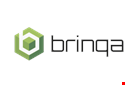 Logo for Brinqa