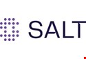 Logo for Salt Security 