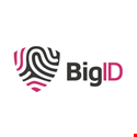 BigID  Logo