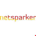 Netsparker Logo
