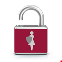 Women in Security Logo