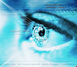 The government has dropped iris scanning - which many believe to be the most effective form of biometric technology - in order to try to reduce costs.