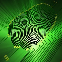 Log data are the digital fingerprints of any regulatory audit