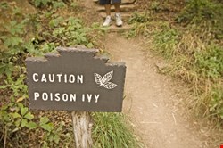 Poison Ivy Dissected: Commodity Tool or APT Weapon?