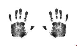 The world biometrics market has expanded exponentially