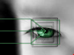 People react badly to stress and so does their optical biometric