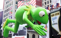 Kermit's channel hacked... (Photo credit: gary718/Shutterstock.com) 