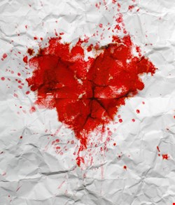 The Heartbleed Continues: Advice from Information Security Professionals 