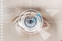 IBM predicts that, over the next five years, multi-factor biometric data will replace the current user ID and password system for safeguarding personal identity and information