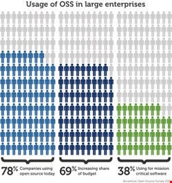 Use of OSS in Large Enterprises