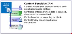 Content-sensitive IAM