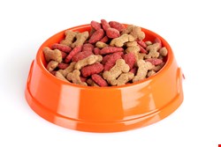 How many IT security professionals practice what they preach? Do you eat your own dog food?