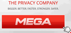 Dotcom's new venture: Mega
