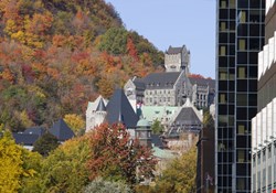 McGill University has shut down a website that published confidential data on school donors