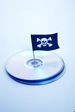 Software piracy research paper