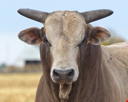 Marc Maiffret prefers a 'no bull' approach to infosec