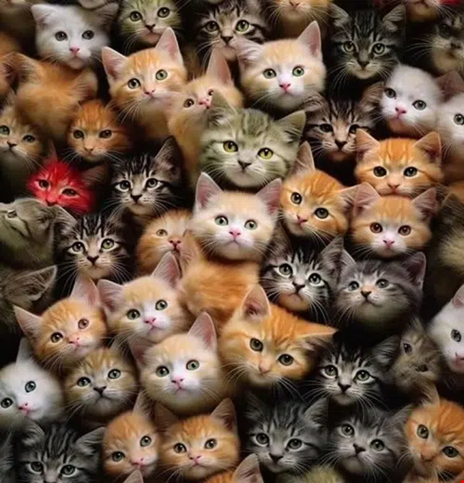 Example of an image file used to store the malware configuration. Source: HarfangLab