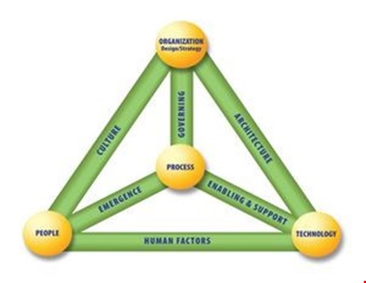 A Cybersecurity Culture Score