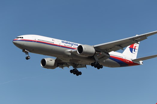 Lizard Squad claimed responsibility for a series of website defacements, including the one against Malaysia Airlines
