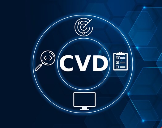 Coordinated vulnerability disclosure (CVD) is a vulnerability disclosure model in which a vulnerability or an issue is disclosed to the public only after the responsible parties have been allowed sufficient time to patch or remedy the vulnerability or issue. Credit: Dave Hoeek/Shutterstock