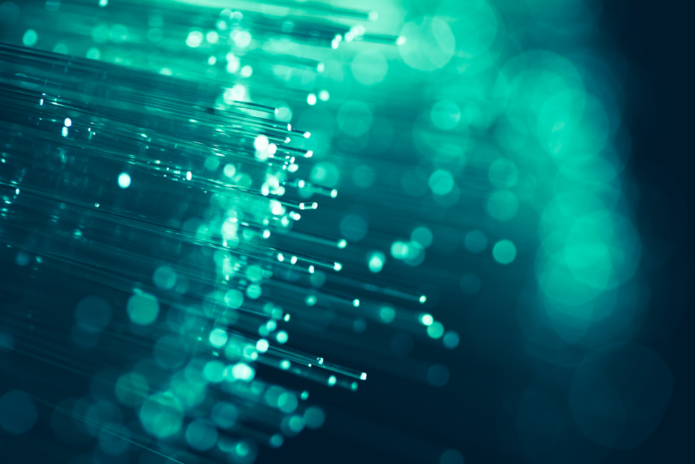 Maximize Your Employability as an Information Security Professional 