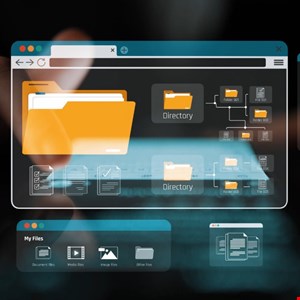 CISA Urges Critical Infrastructure to Plant Digital Traps for Attackers