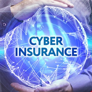 Image result for Personal Cyber Insurance Added to Homeowner Policy