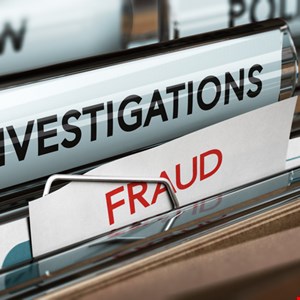 Software Firm Owner Admits Fraud and CSAM Possession