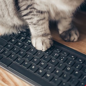 Multi-Stage "BadPaw" Malware Campaign Targets Ukraine
