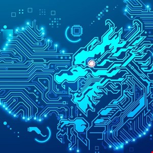 Western Agencies Warn Risk from Chinese-Controlled Botnet