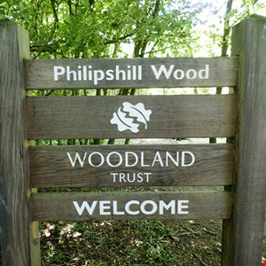 Cyber-Attack on Woodland Trust