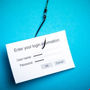 Phishing Attacks to Double in 2024