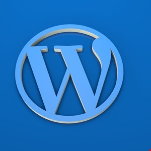 Security Flaws in WordPress Woffice Theme Prompts Urgent Update