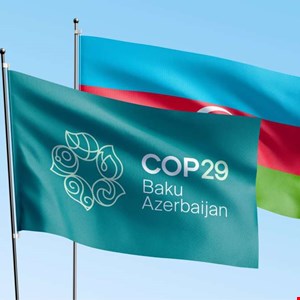 Suspicious Social Media Accounts Deployed Ahead of COP29