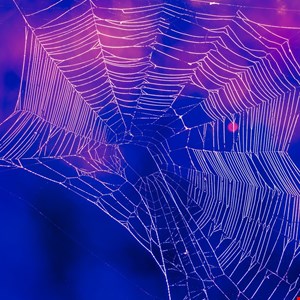US extradites teen hacker linked to $100M Scattered Spider scheme