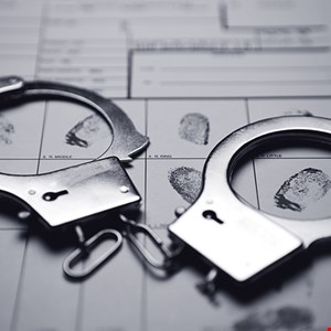 Florida Police Arrest 12 Alleged Online Predators