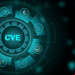 CISA Charts New Quality Era for Global CVE Program