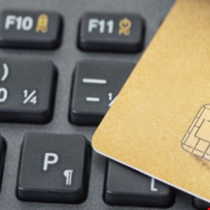 Tens of thousands of card details swiped from online users