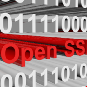 OpenSSL Security Advisory Downgraded to High Severity