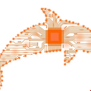 Dolphin X malware leverages AI to hunt high value Windows users