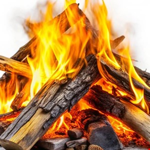 Linux Malware WolfsBane and FireWood Linked to Gelsemium APT